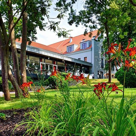 Arthotel Kiebitzberg Havelberg Exteriér fotografie