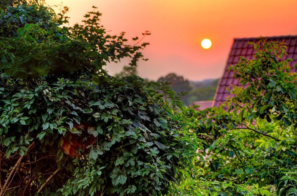 Arthotel Kiebitzberg Havelberg Exteriér fotografie