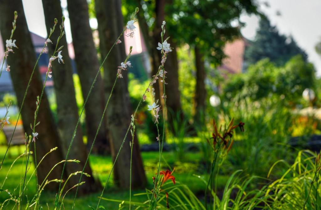 Arthotel Kiebitzberg Havelberg Exteriér fotografie